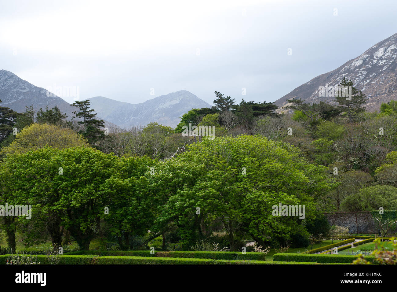 Connemara park , Galway, Irlanda Foto Stock
