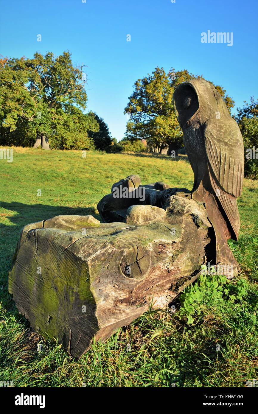 Il gufo intagliato panca di legno aspel natura rsserve beck fila Foto Stock