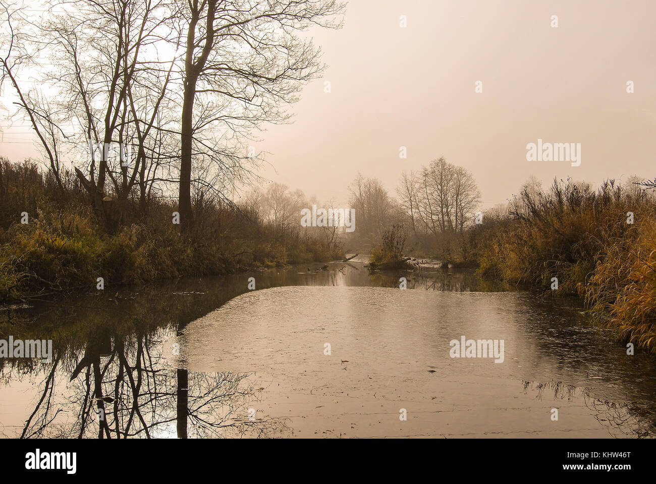 Paesaggio di tardo autunno, fiume calmo coperto con prima di ghiaccio in background di alberi nella nebbia Foto Stock