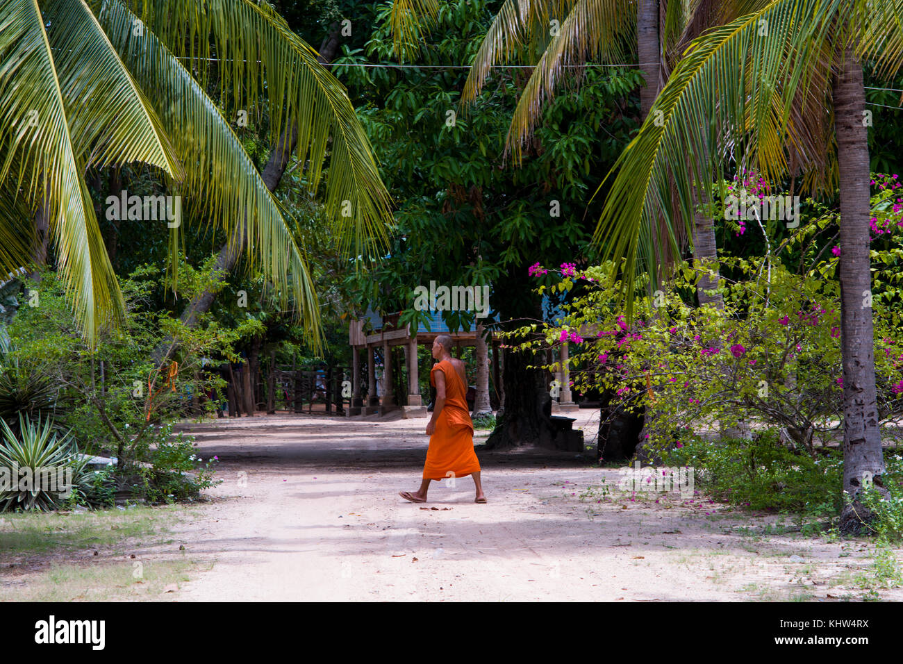 Wat Kbal Damrei (significa testa di elefante in Khmer) a Kampong Chhnang, Cambogia Foto Stock