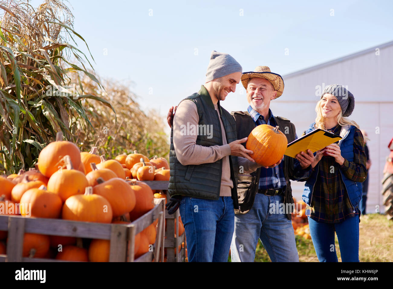 Gli agricoltori che lavorano in azienda di zucca Foto Stock