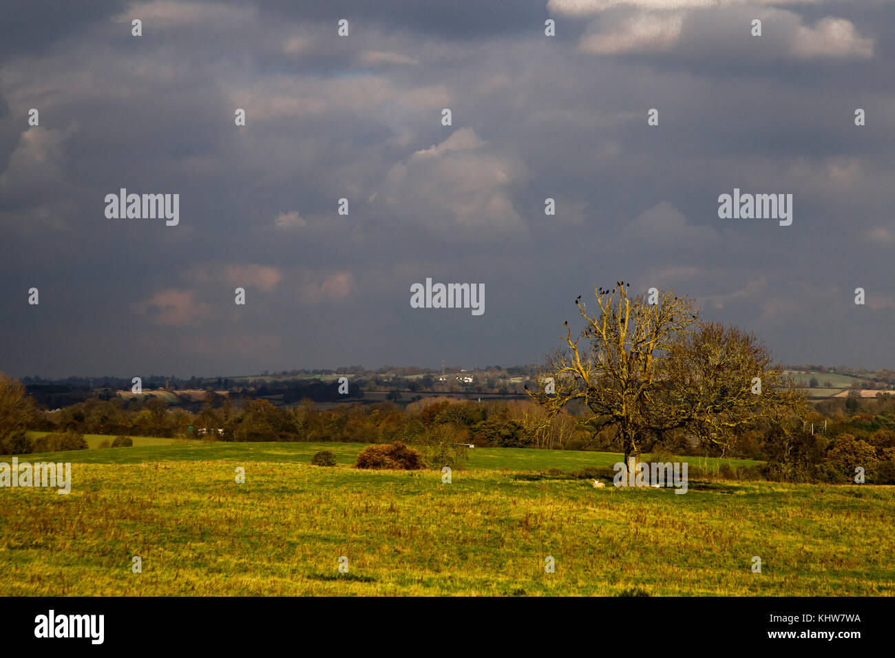 Pomeriggio autunnale vicino a Daventry, Northamptonshire. Foto Stock