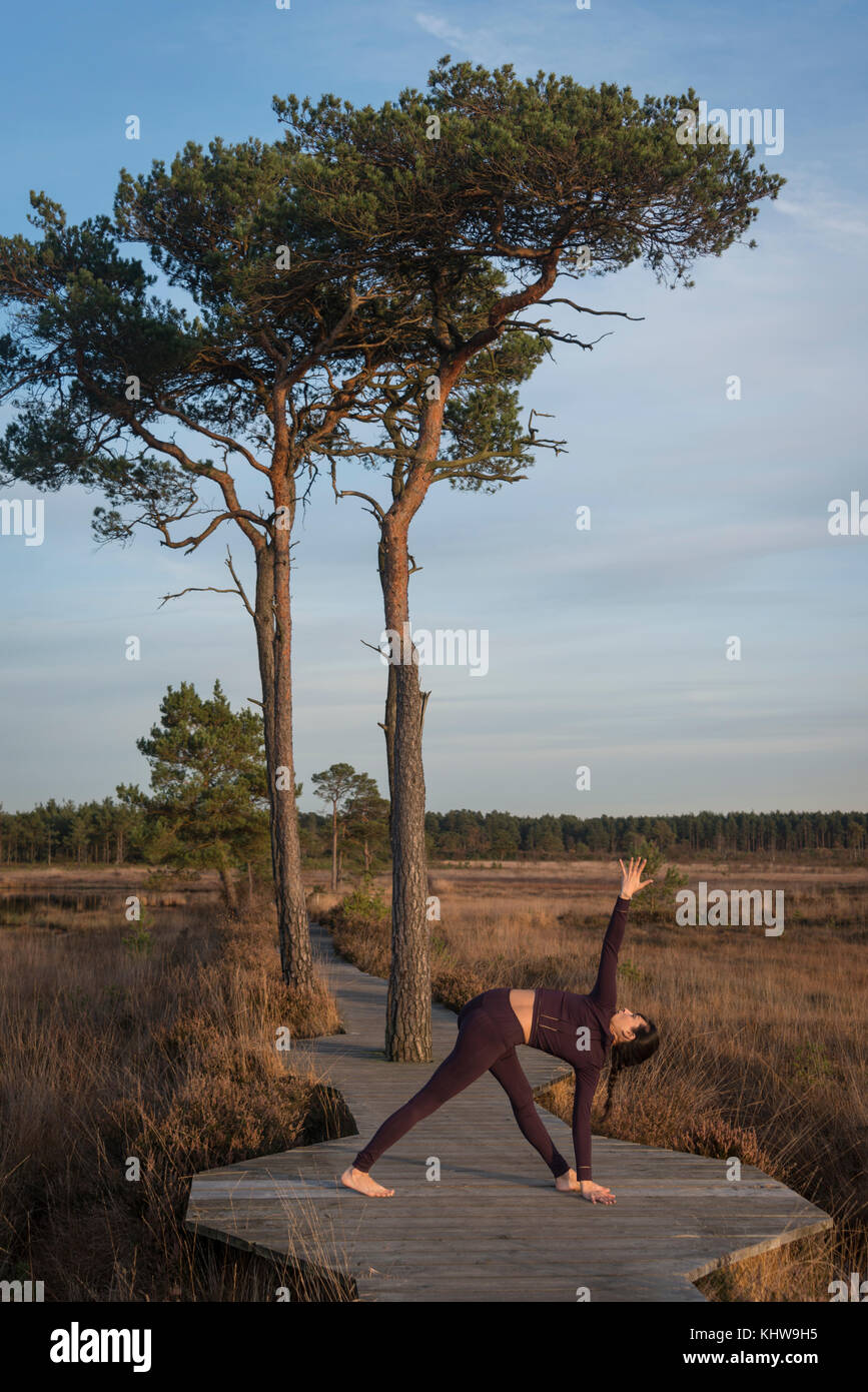 Donna facendo un po' di yoga pone, triangolo pongono in una riserva naturale Foto Stock