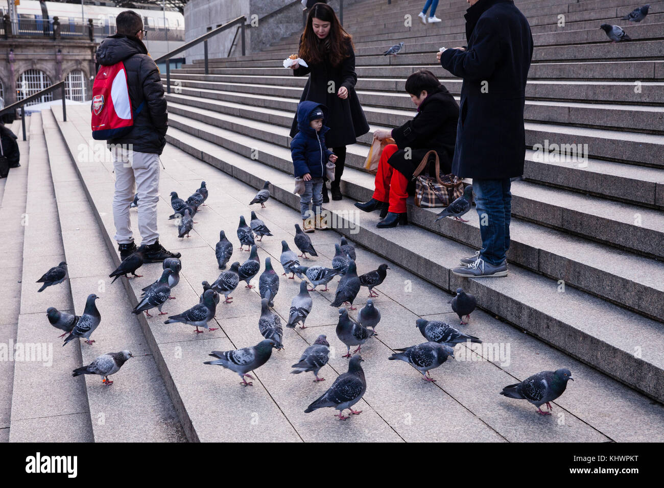 Germania, Colonia, piccioni selvatici vicino alla cattedrale. Deutschland, Koeln, Stadttauben auf der Treppe zur Domplatte. - Foto Stock