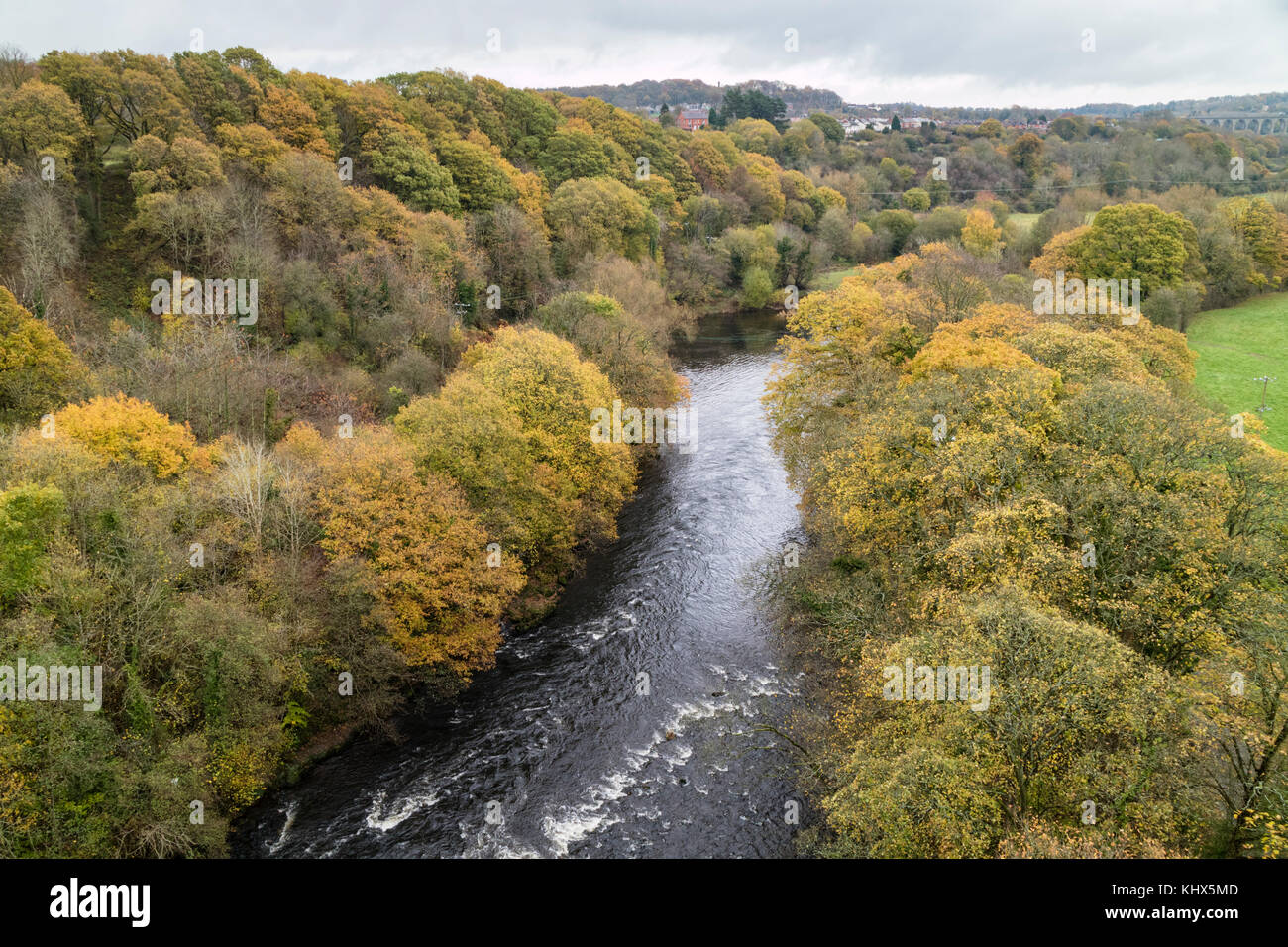 In autunno la Dee Valley vicino a Llangollen, Galles del Nord, Regno Unito Foto Stock