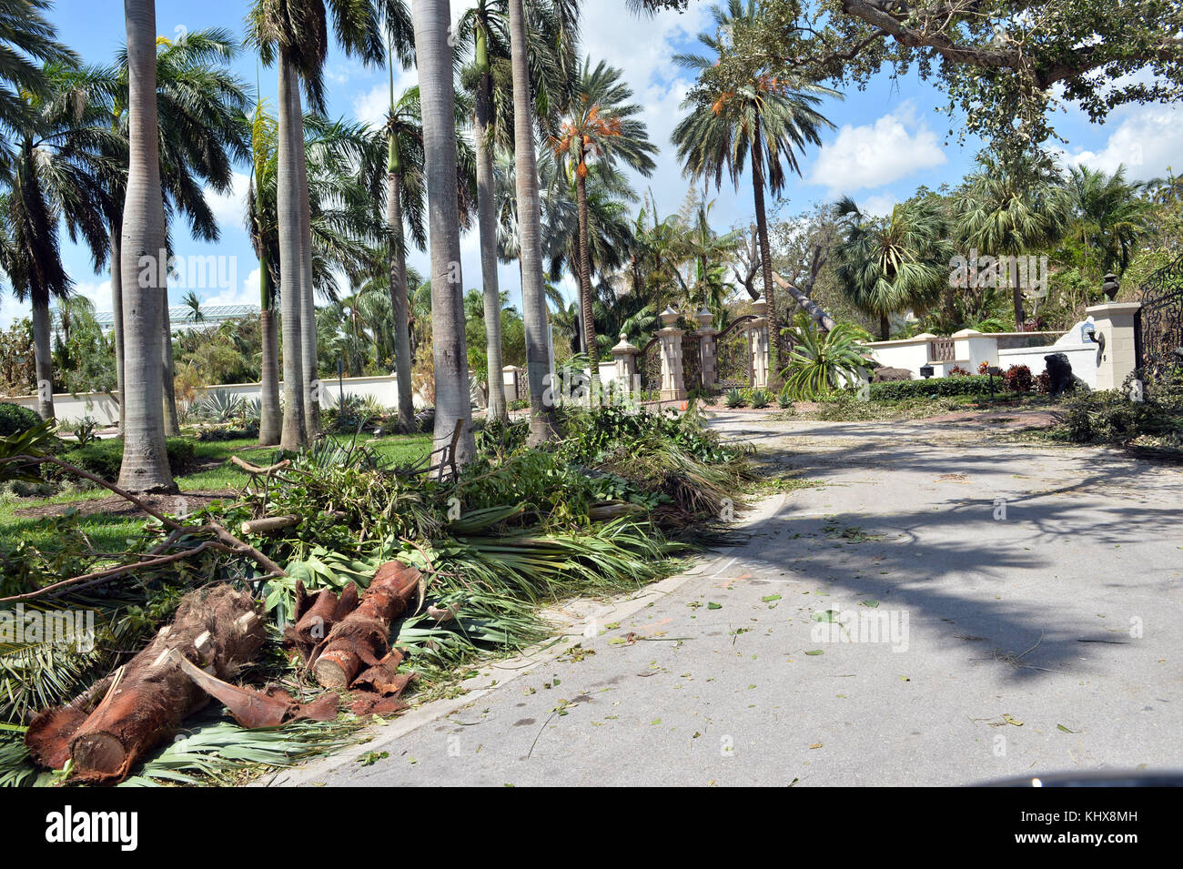 MIAMI BEACH, FL - 13 SETTEMBRE: (COPERTURA ESCLUSIVA) gli effetti dell'uragano Irma di categoria 5 Extreme non sono stati riservati ai poveri in quanto Star Island "dove vivono alcune delle persone più ricche del mondo" è stata devastata, ma il rath of Hurricane Irma, casa della casalinga di Miami Lisa Hochstein, il rapper Sean Combs, l'avvocato Roy Black e Rosie o'Donaue solo per citarne alcuni il 13 settembre 2017 a Miami Beach, Florida People: Star Island Foto Stock