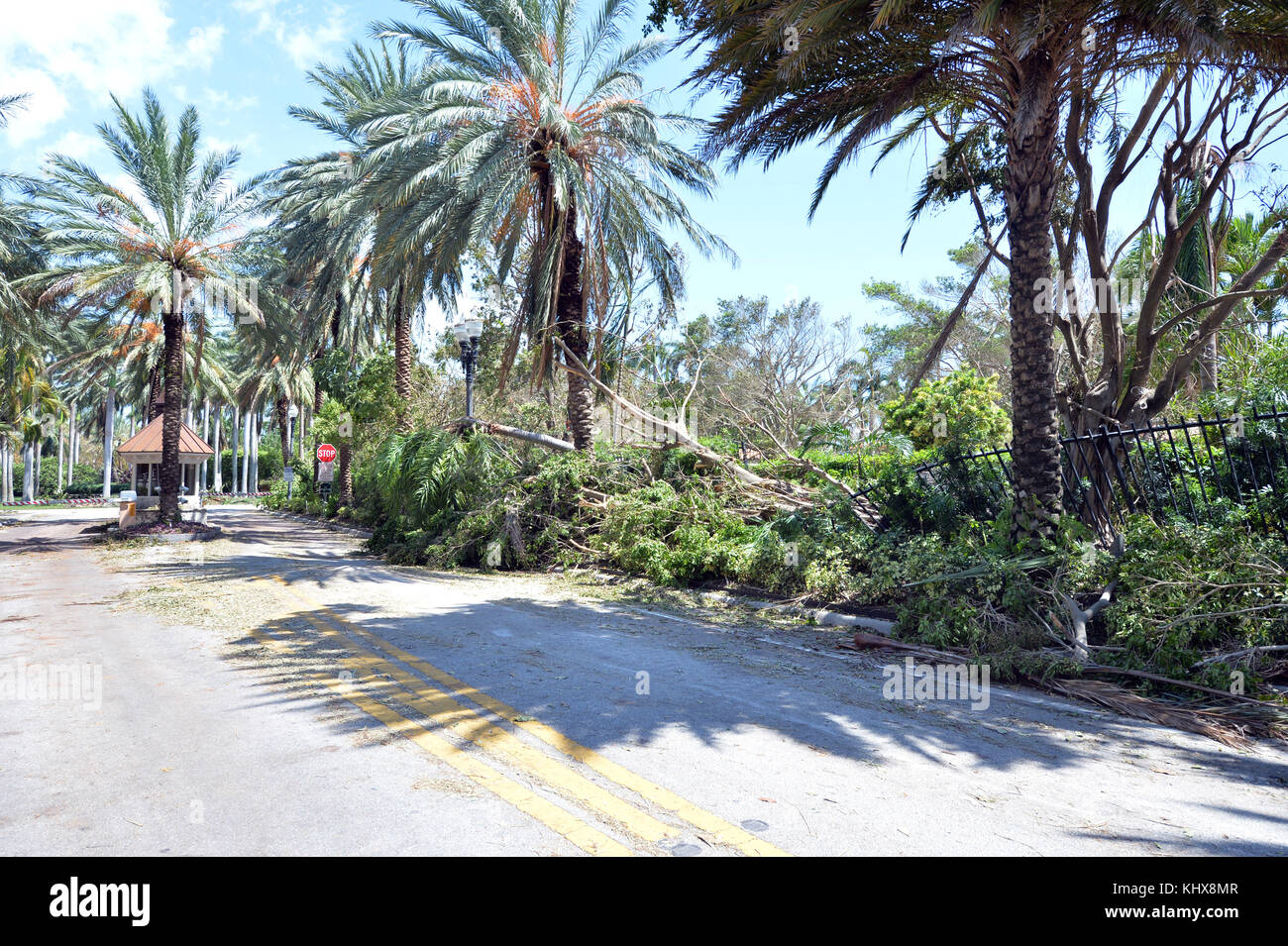 MIAMI BEACH, FL - 13 SETTEMBRE: (COPERTURA ESCLUSIVA) gli effetti dell'uragano Irma di categoria 5 Extreme non sono stati riservati ai poveri in quanto Star Island "dove vivono alcune delle persone più ricche del mondo" è stata devastata, ma il rath of Hurricane Irma, casa della casalinga di Miami Lisa Hochstein, il rapper Sean Combs, l'avvocato Roy Black e Rosie o'Donaue solo per citarne alcuni il 13 settembre 2017 a Miami Beach, Florida People: Star Island Foto Stock