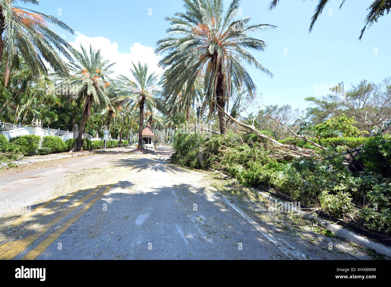 MIAMI BEACH, FL - 13 SETTEMBRE: (COPERTURA ESCLUSIVA) gli effetti dell'uragano Irma di categoria 5 Extreme non sono stati riservati ai poveri in quanto Star Island "dove vivono alcune delle persone più ricche del mondo" è stata devastata, ma il rath of Hurricane Irma, casa della casalinga di Miami Lisa Hochstein, il rapper Sean Combs, l'avvocato Roy Black e Rosie o'Donaue solo per citarne alcuni il 13 settembre 2017 a Miami Beach, Florida People: Star Island Foto Stock