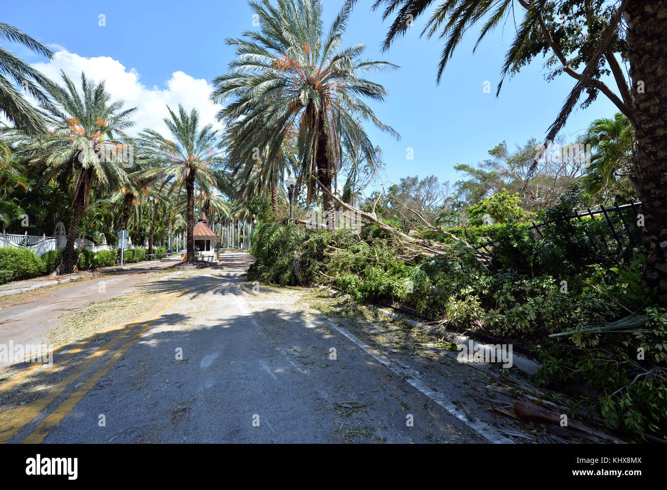 MIAMI BEACH, FL - 13 SETTEMBRE: (COPERTURA ESCLUSIVA) gli effetti dell'uragano Irma di categoria 5 Extreme non sono stati riservati ai poveri in quanto Star Island "dove vivono alcune delle persone più ricche del mondo" è stata devastata, ma il rath of Hurricane Irma, casa della casalinga di Miami Lisa Hochstein, il rapper Sean Combs, l'avvocato Roy Black e Rosie o'Donaue solo per citarne alcuni il 13 settembre 2017 a Miami Beach, Florida People: Star Island Foto Stock