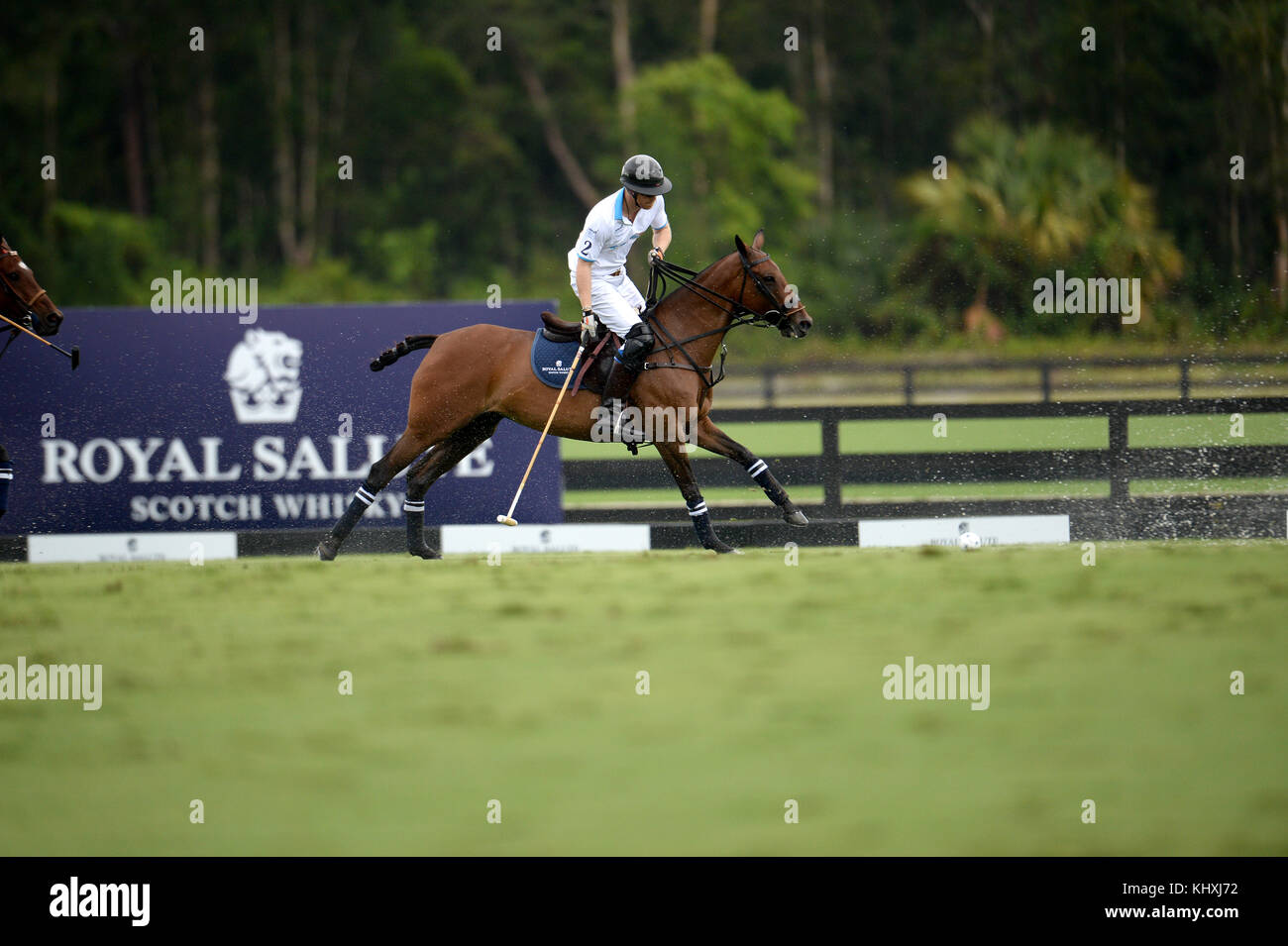 WELLINGTON, FL - MAGGIO 04: Prince Harry partecipa alla Sentebale Polo Cup presentata dal Royal Salute World Polo e tenuta presso la Valiente Polo Farm di Wellington, Florida, il 4 maggio 2016. Persone: Il principe Harry Foto Stock