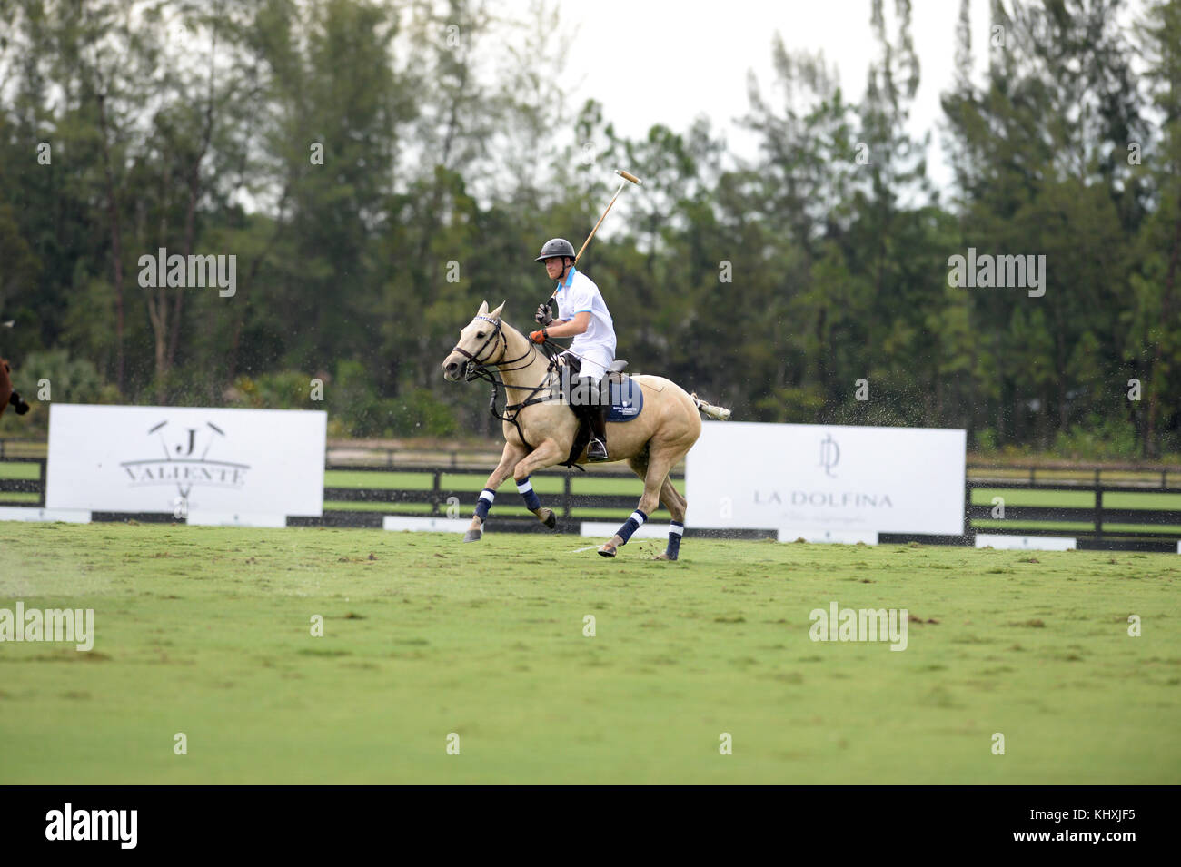 WELLINGTON, FL - MAGGIO 04: Prince Harry partecipa alla Sentebale Polo Cup presentata dal Royal Salute World Polo e tenuta presso la Valiente Polo Farm di Wellington, Florida, il 4 maggio 2016. Persone: Il principe Harry Foto Stock