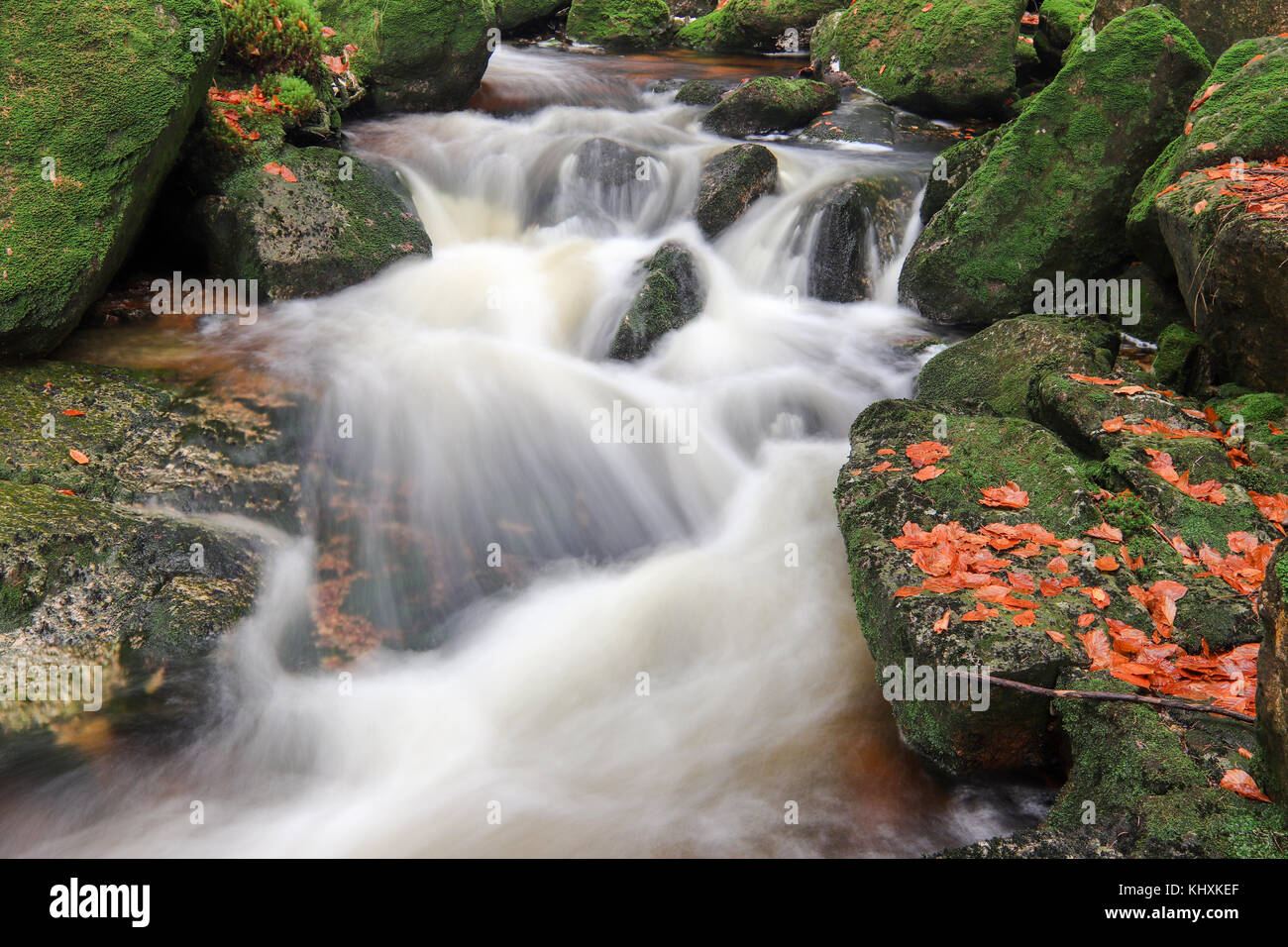 Rapide sul jedlova creek in autunno, Jizera Mountains, Repubblica ceca Foto Stock