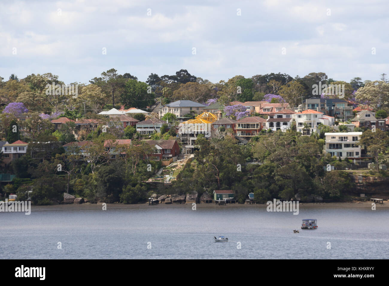 Waterfront homes in Oatley, St George a Sydney del sud vista da oltre George Rives a Como, Sutherland Shire. Foto Stock