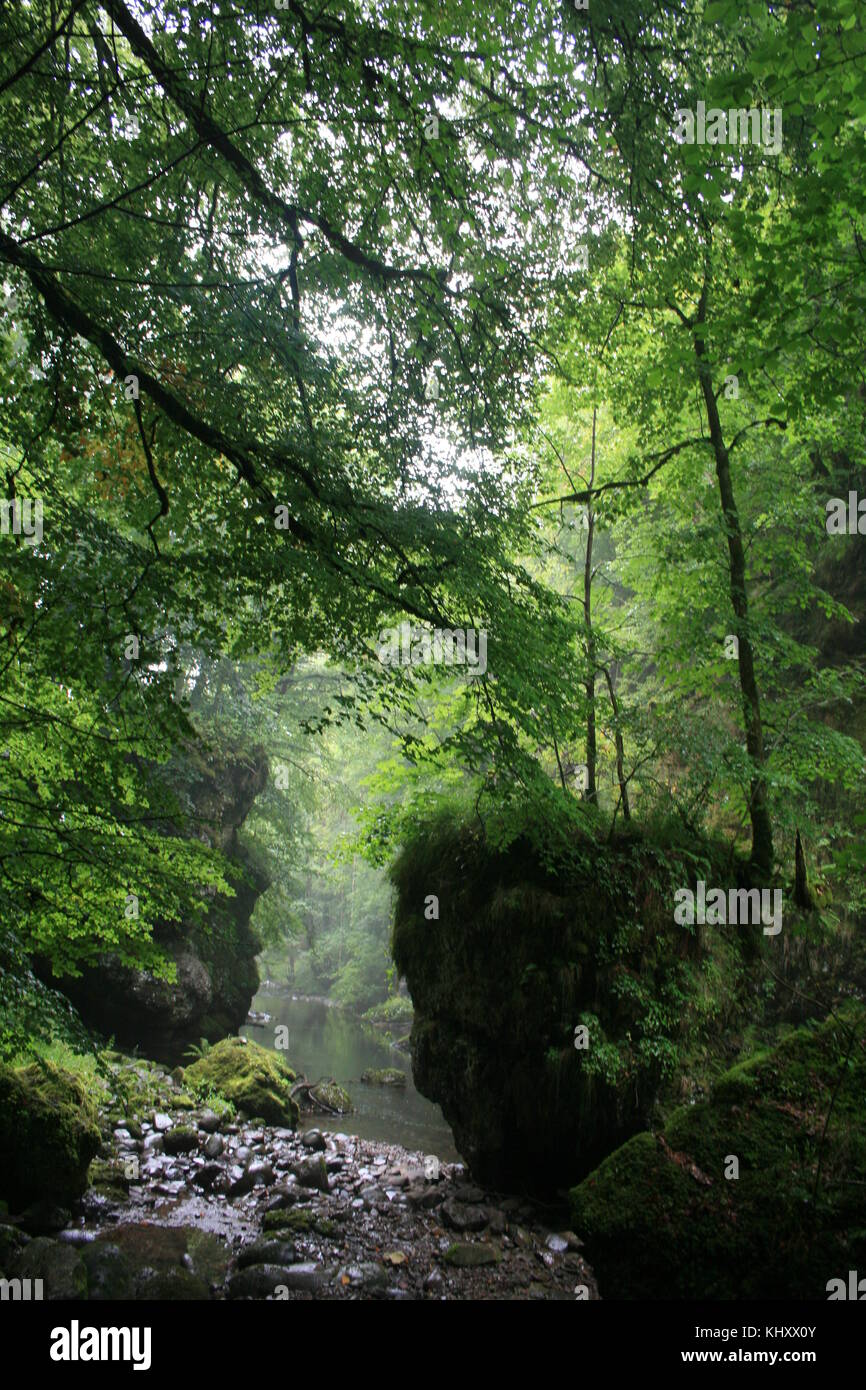 Un piccolo fiume nella foresta tra le rocce Foto Stock