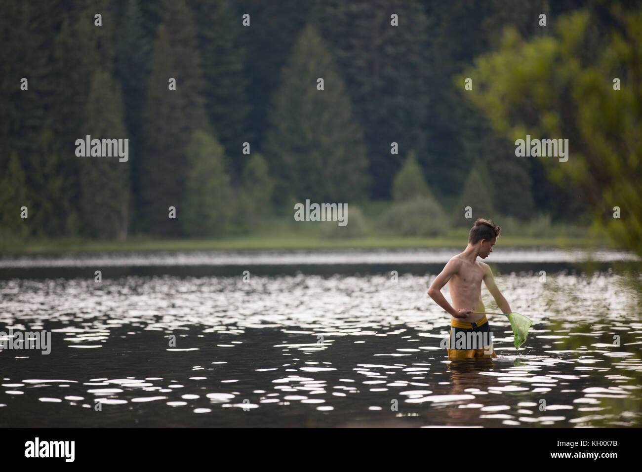 Ragazzo adolescente, pesca in lago, utilizzando net Foto Stock