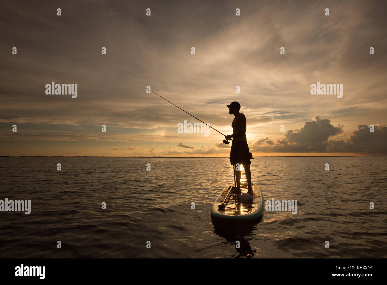 Uomo in piedi sulla paletta scheda, sull'acqua, al tramonto, tenendo la canna da pesca Foto Stock