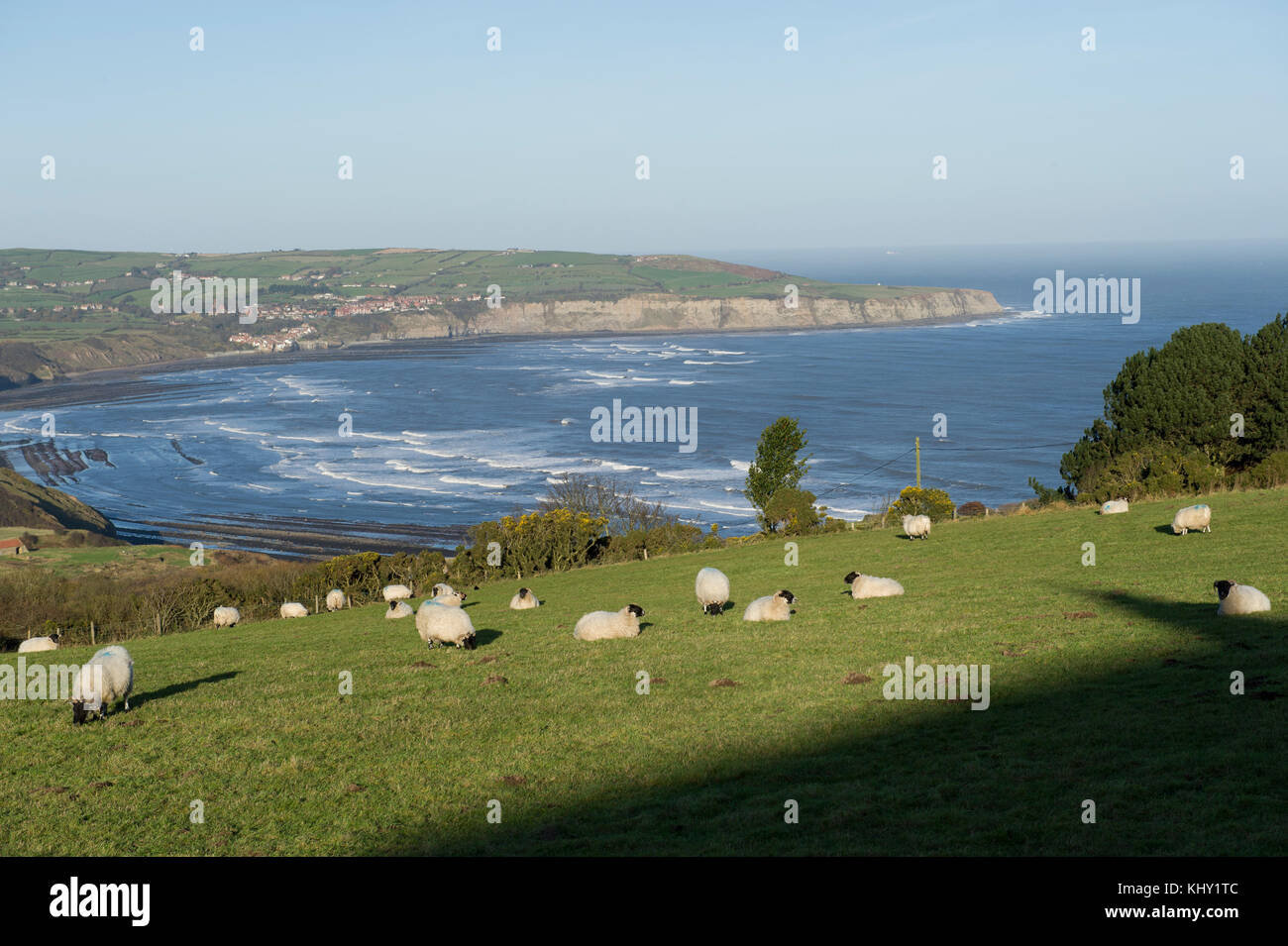Un panorama da ravenscar robin affacciato sulla baia di calotte su North Yorkshire coast Foto Stock