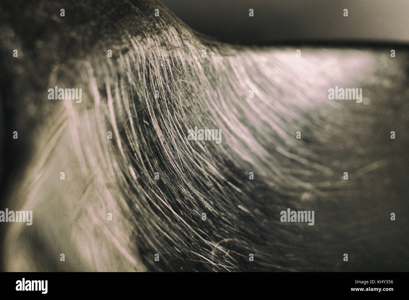 Una macro immagine di un cucchiaio d'argento estratto dei miei amici' bocca !!! Foto Stock