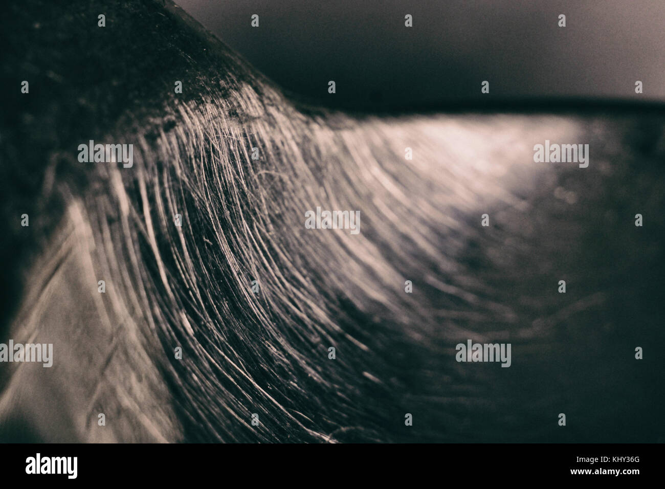 Una macro immagine di un cucchiaio d'argento estratto dei miei amici' bocca !!! Foto Stock