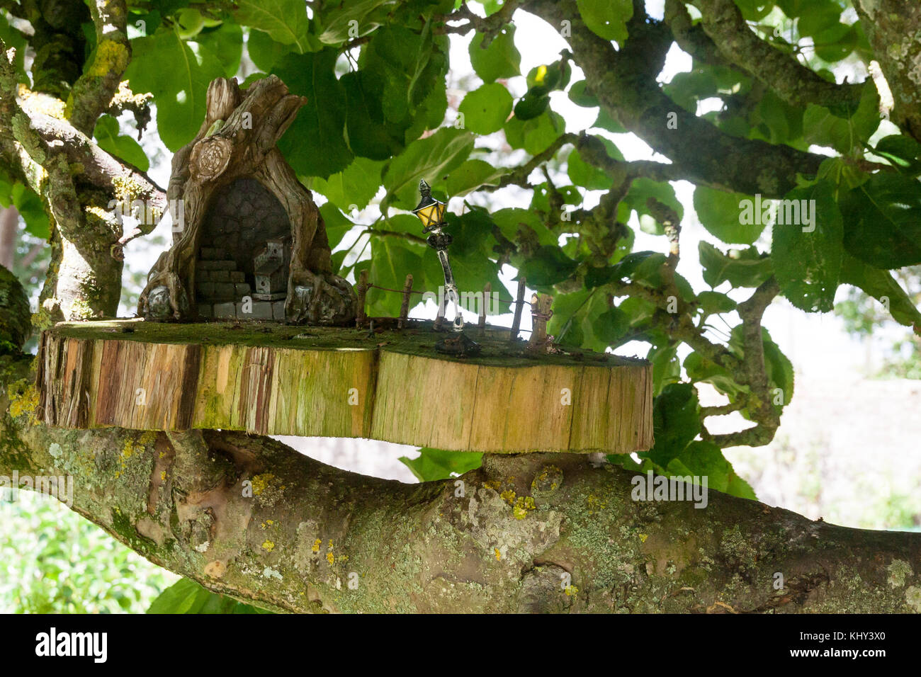 Fata in legno casa con lampada posta su una piattaforma posta sul ramo di un albero in un giardino fiabesco, Irlanda Foto Stock