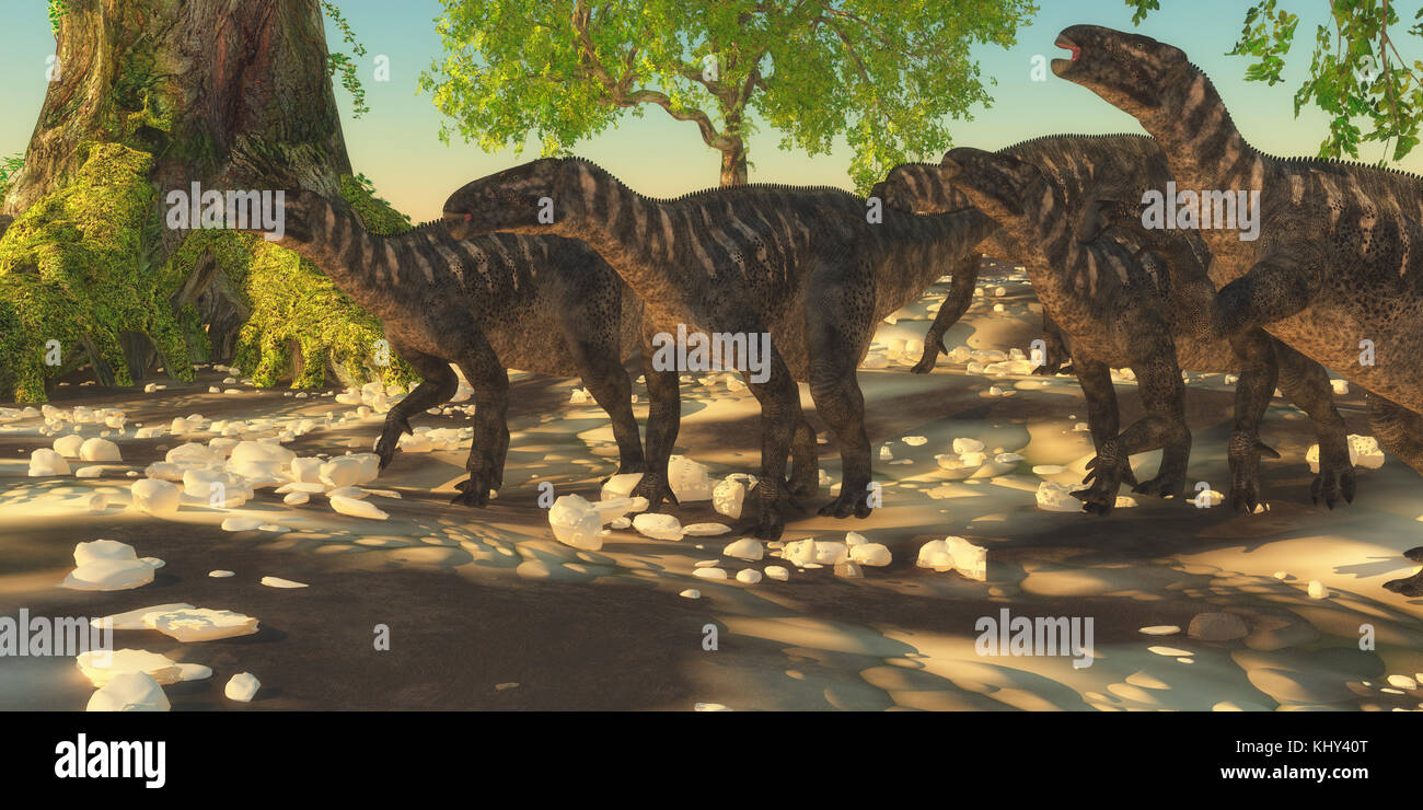 Iguanodon dinosauri - Iguanodon dinosauri erbivori vissuti durante il Cretacico dell Europa e camminava con un allevamento di animali. Foto Stock