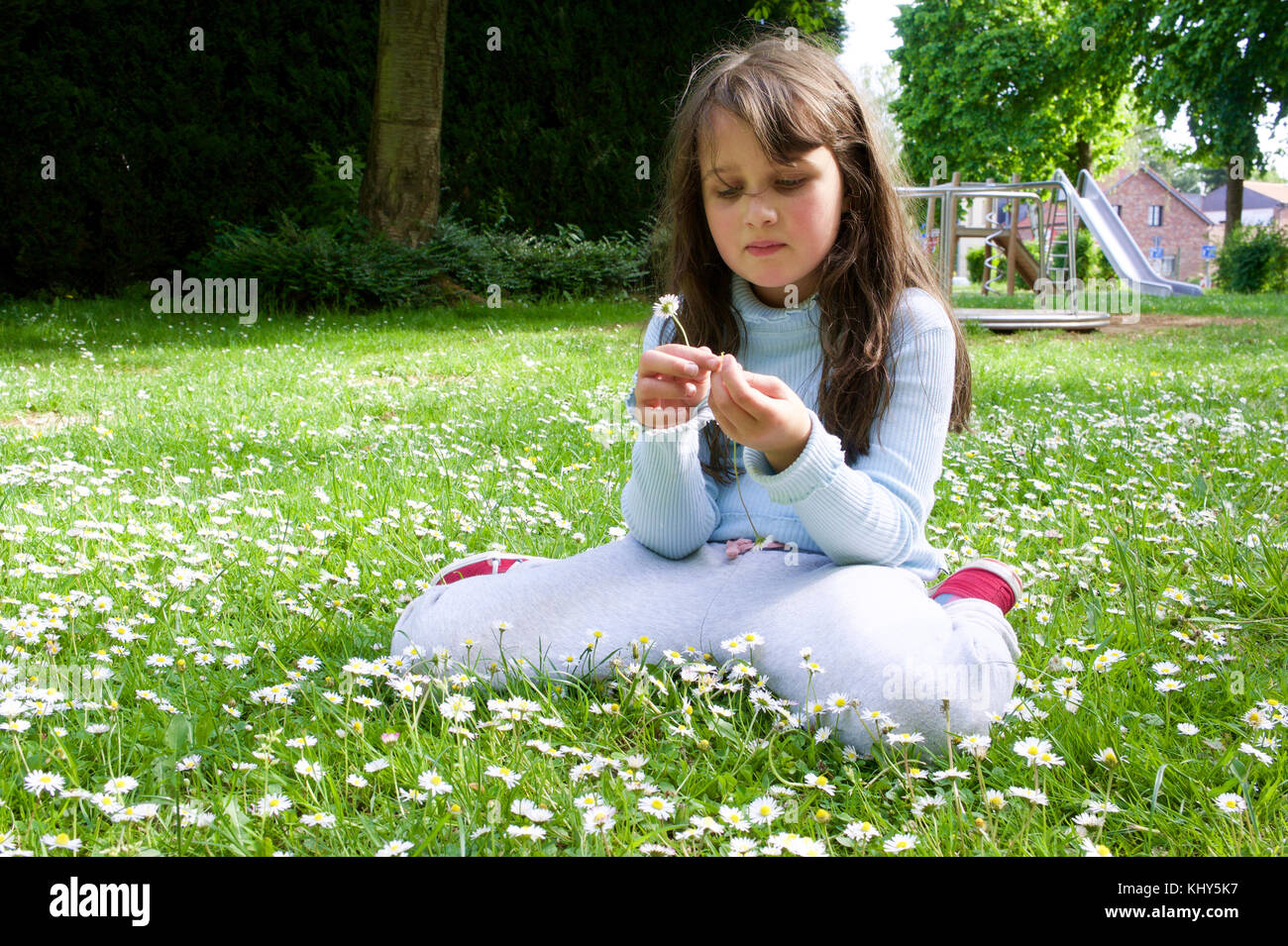 La ragazza si siede su un prato di fiori e i legami di una ghirlanda di fiori di margherite. Foto Stock