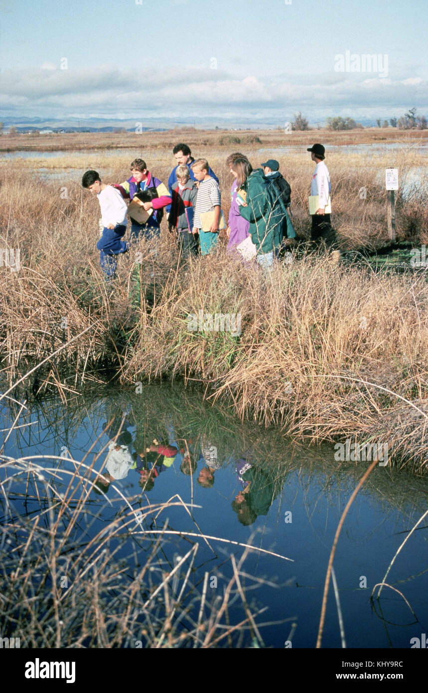 Educazione ambientale i bambini accompagnati da un adulto in natura Foto Stock