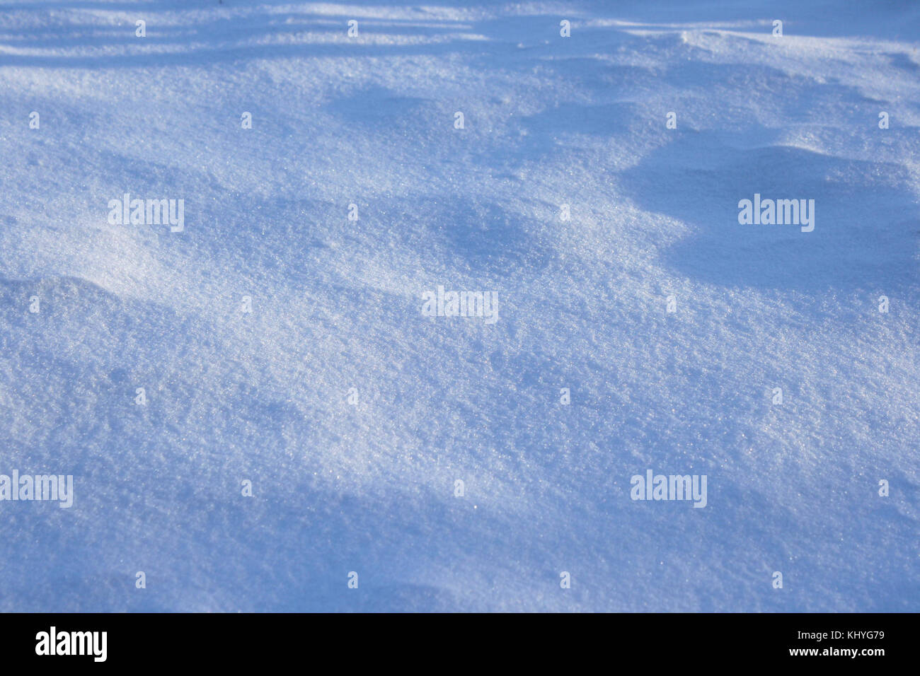 Una fotografia che cattura il gioco delle ombre su un paesaggio innevato, enfatizzando il contrasto tra luce e buio in un ambiente invernale. Foto Stock