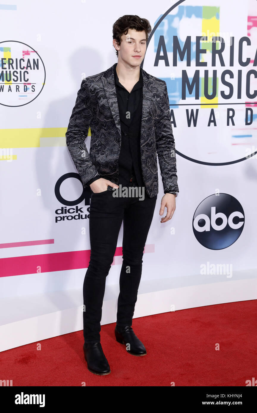 Shawn Mendes partecipa al 2017 American Music Awards al Microsoft Theatre il 19 novembre 2017 a Los Angeles, California. | Verwendung weltweit Foto Stock