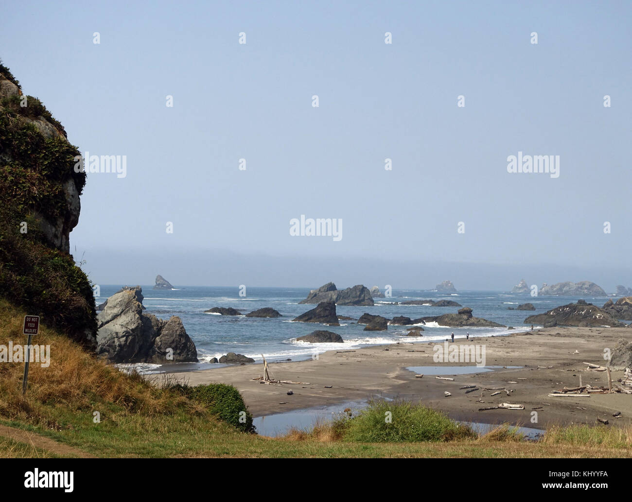 Harris Beach, Stati Uniti. 8 settembre 2017. Le rocce si innalzano dal mare a Harris Beach in Oregon a Harris Beach, US, 8 settembre 2017. Credito: Alexandra Schuler/dpa/Alamy Live News Foto Stock