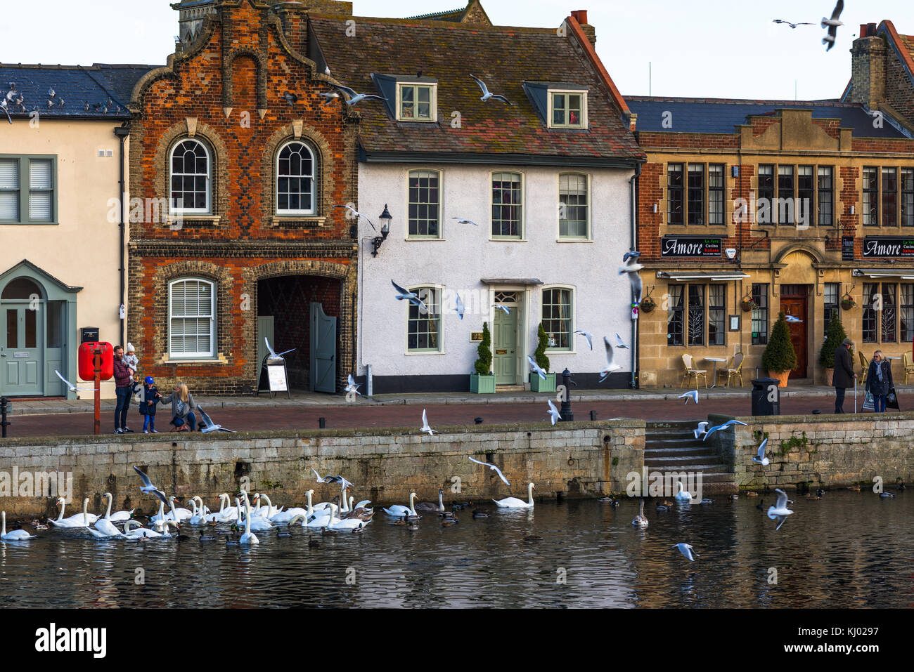 Fiume Great Ouse a St Ives, Cambridgeshire, Inghilterra, Regno Unito. Foto Stock