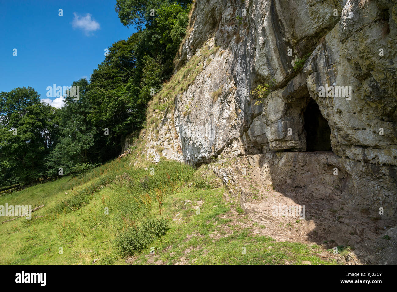 Piccola grotta in una scogliera calcarea a Beresford Dale vicino a Hartington, Peak District, Inghilterra. Foto Stock