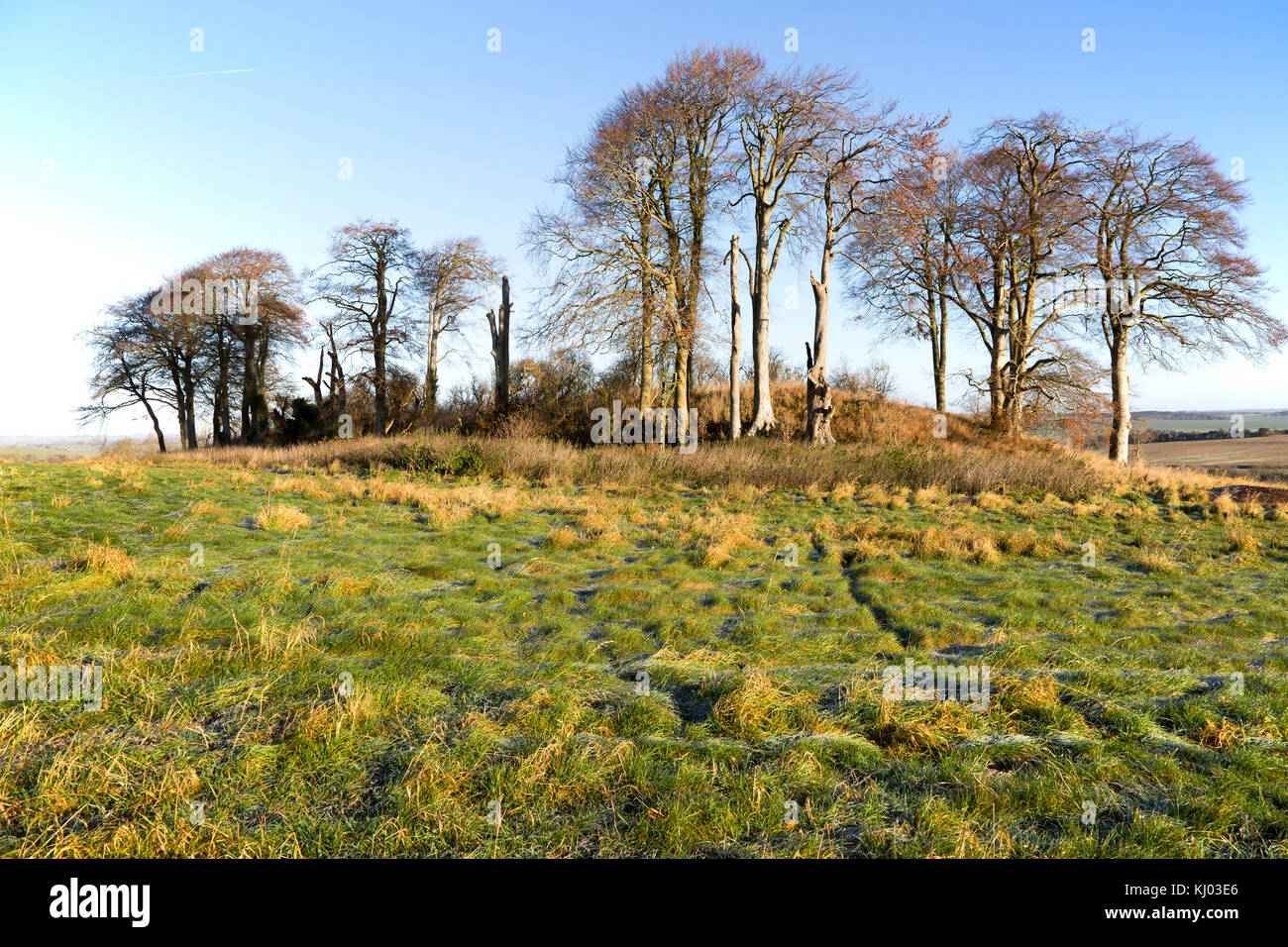 Il neolitico long barrow in Chalk downland campagna vicino Oriente Kennett, Wiltshire, Inghilterra, Regno Unito Foto Stock