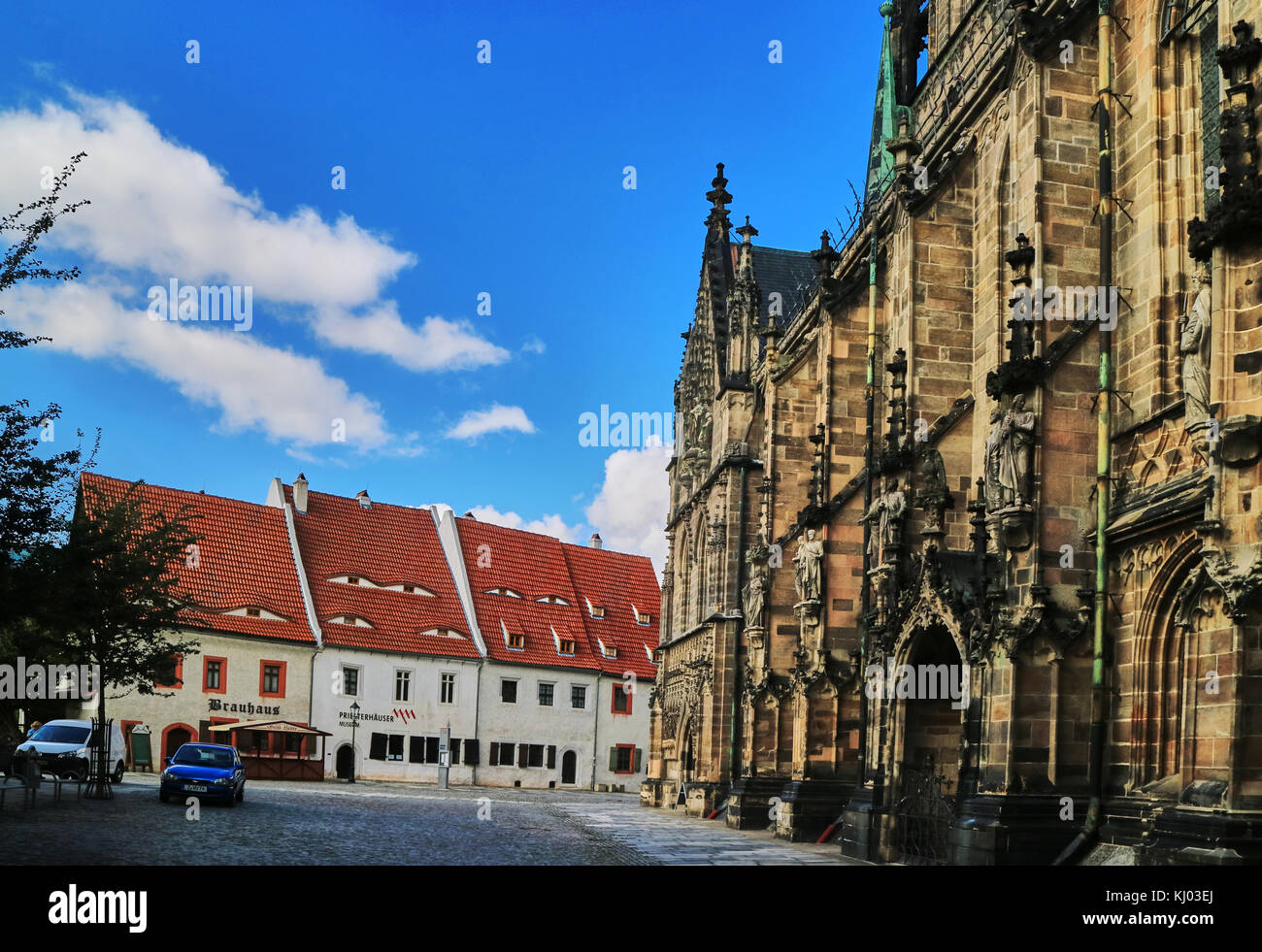 L'Europa, Germania, Sassonia, Zwickau, la città vecchia e la cattedrale di Nostra Signora Foto Stock