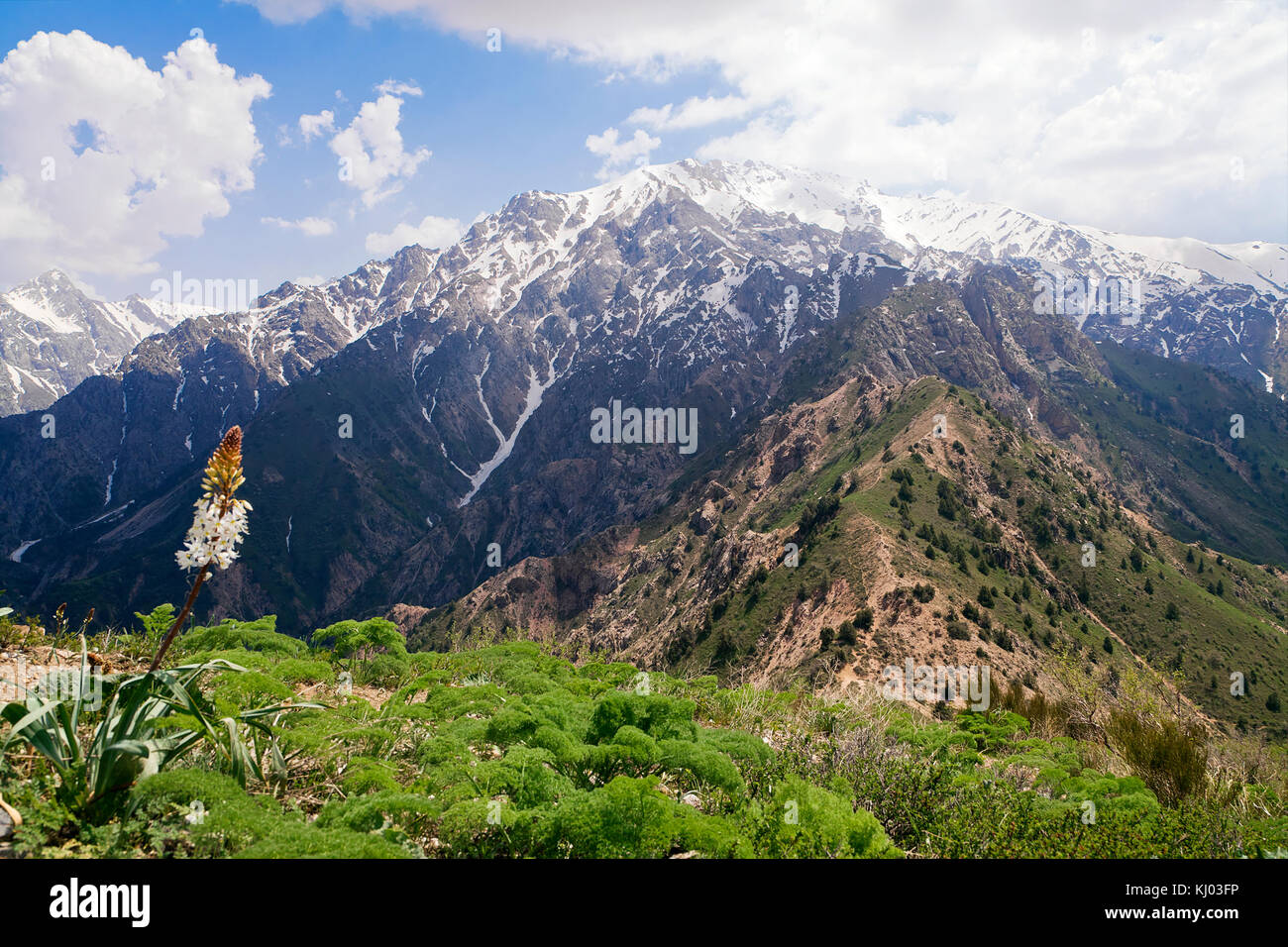 Chimgan montagne, Uzbekistan Foto Stock