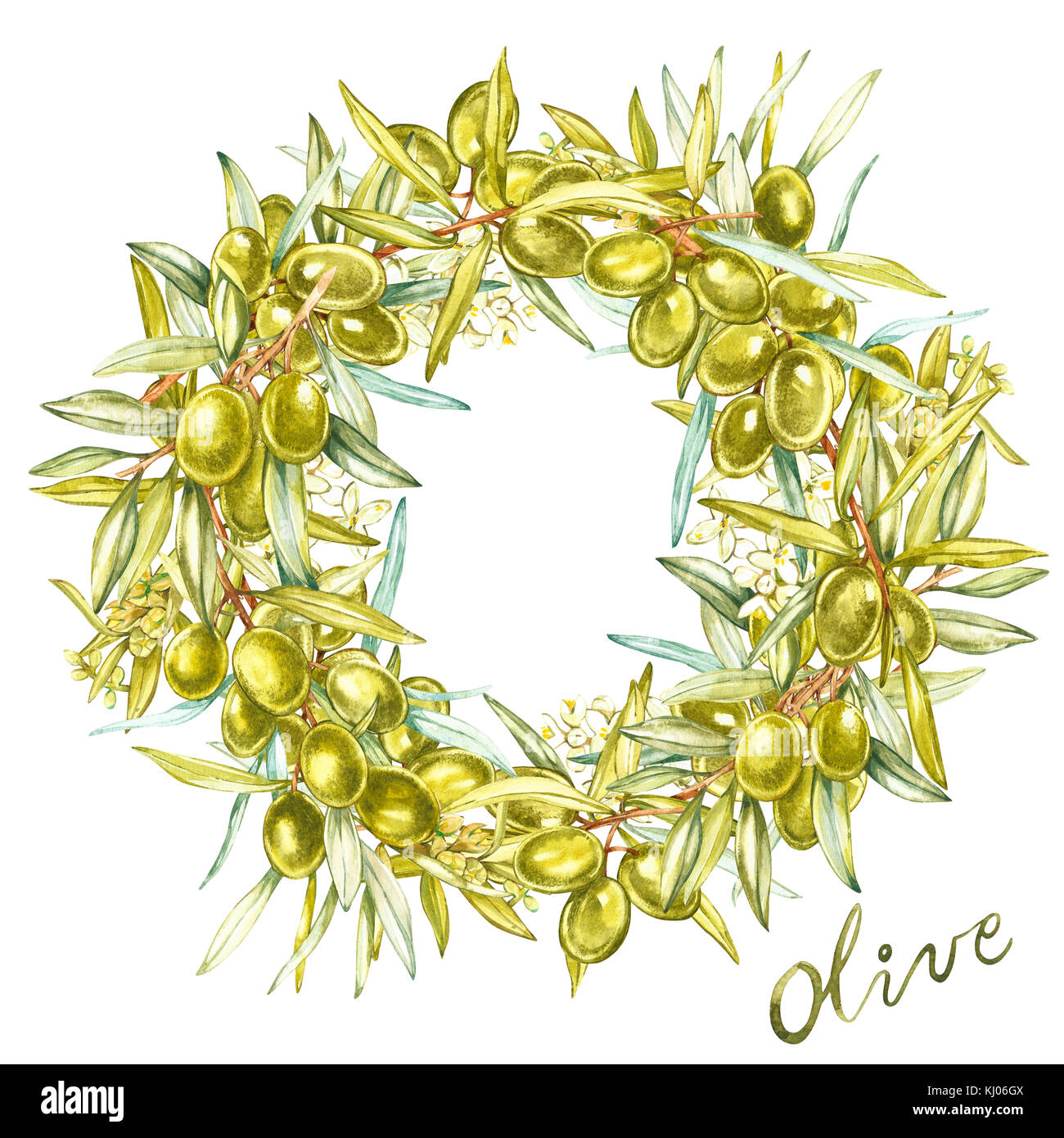 Acquerello colorata ghirlanda realistico con maturi olive verdi da tavola rotonda su sfondo bianco. Foto Stock