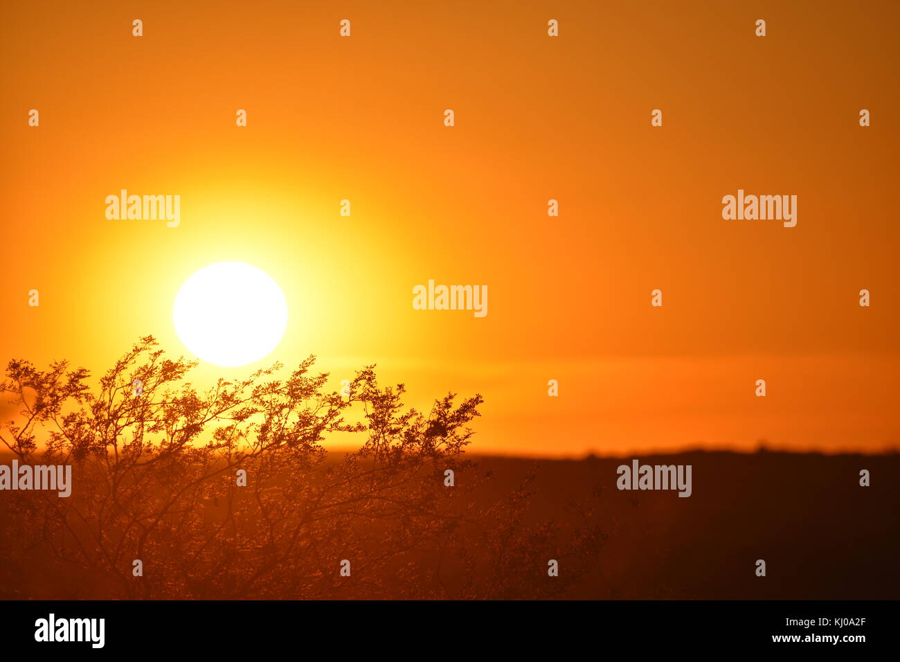 Arancione tramonto paesaggio ritratto Foto Stock