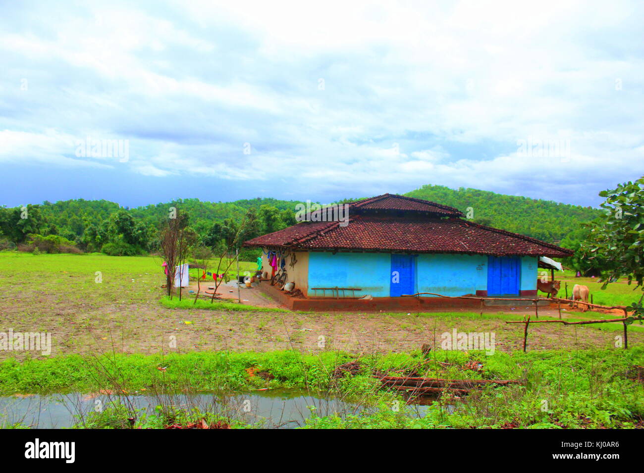 Un perfetto villaggio indiano house, conservando indiano stile tradizionale con natura coloratissima ! Foto Stock