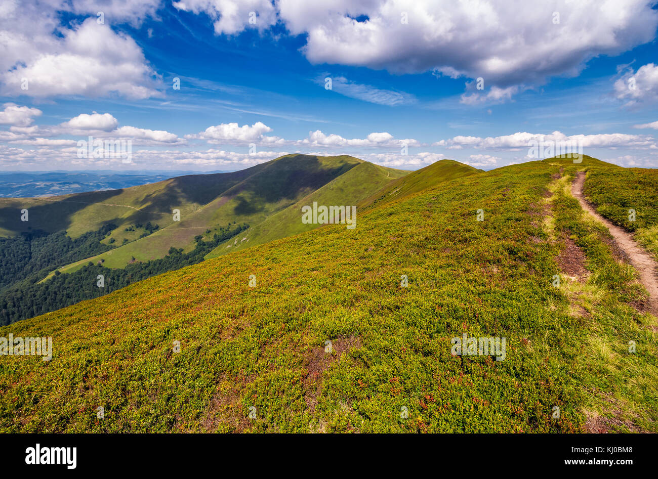 Percorso sulla cima della montagna dei Carpazi ridge. bellissimo paesaggio estivo sotto il meraviglioso cielo di nuvole Foto Stock