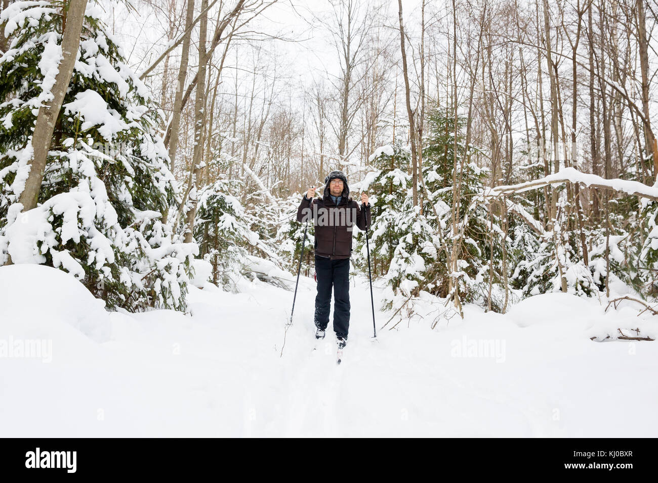Sci di fondo: uomo sci di fondo nella foresta in inverno Foto Stock