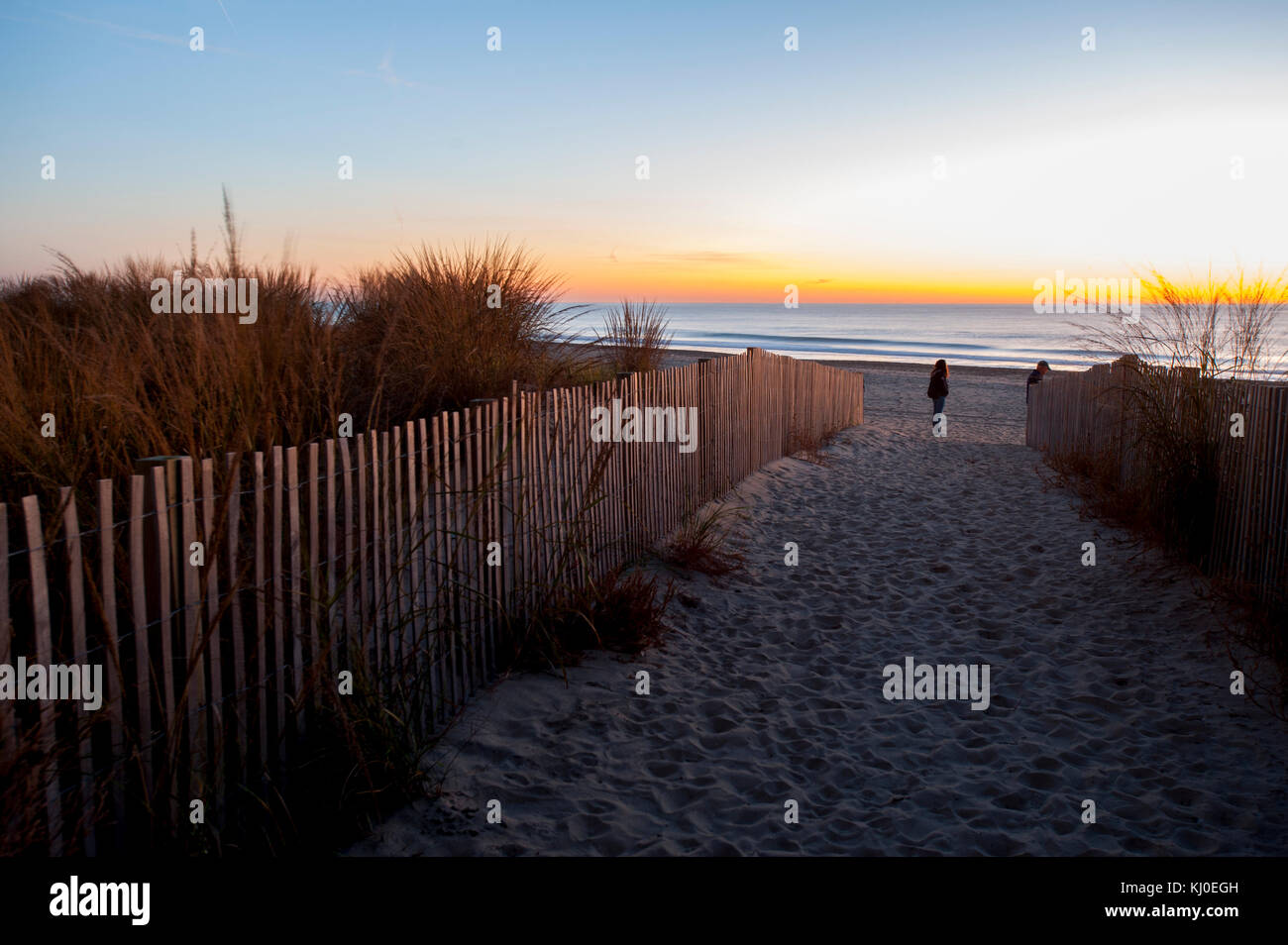 Stati Uniti Maryland md ocean city beach a sunrise con dune di sabbia finissima e recinto di sabbia Foto Stock