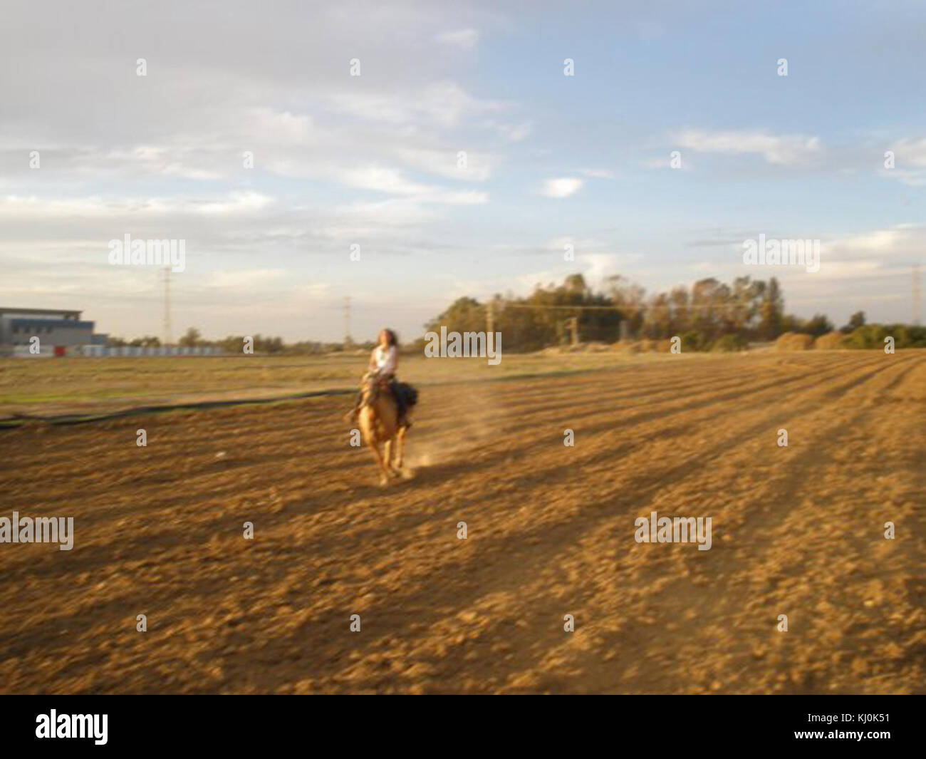 I cavalieri in Israele che partecipano a un evento equestre o a un'escursione di gruppo, con diversi cavalli e cavalieri su terreni all'aperto. Foto Stock
