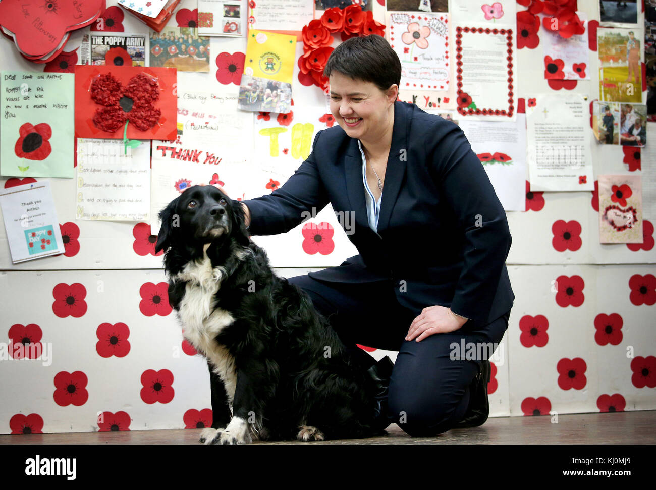 Il leader conservatore scozzese Ruth Davidson incontra la mascotte di fabbrica e il cane terapia Biggles durante una visita alla fabbrica di PoppyScotland a Edimburgo. Foto Stock