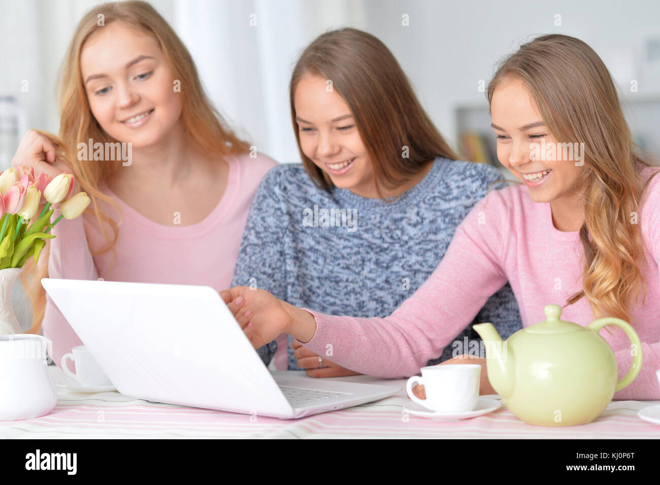 Ragazze utilizzando i moderni laptop Foto Stock