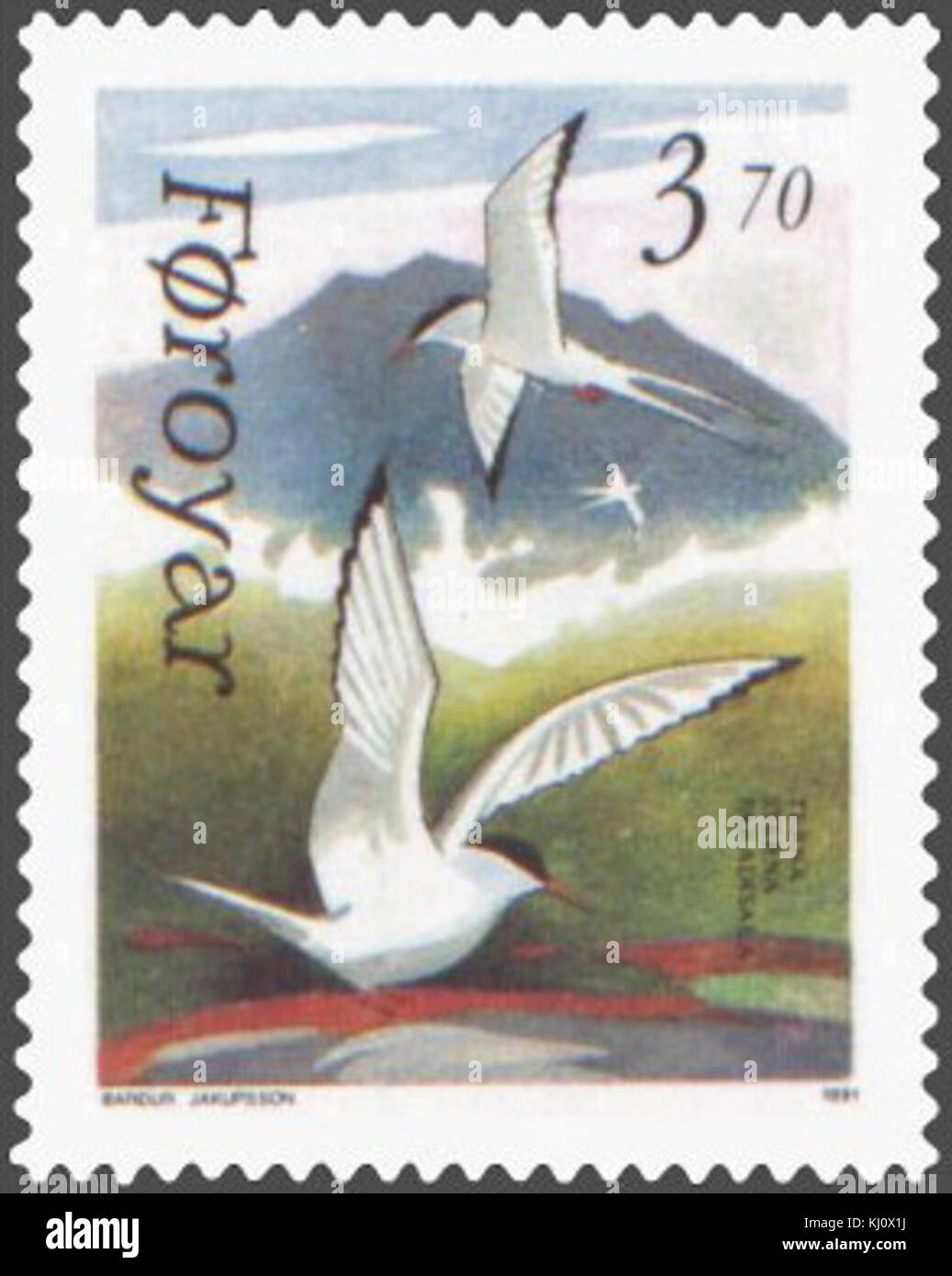 Questo francobollo delle Isole Faroe raffigura una terna artica, un uccello noto per il suo lungo viaggio migratorio. Il francobollo evidenzia la fauna selvatica della regione e il significato dell'uccello. Foto Stock