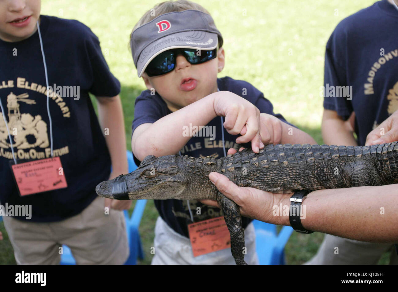 Un educazione ambientale studente riceve torna a sentirsi parte di un giovane alligator sulla rifugio Foto Stock