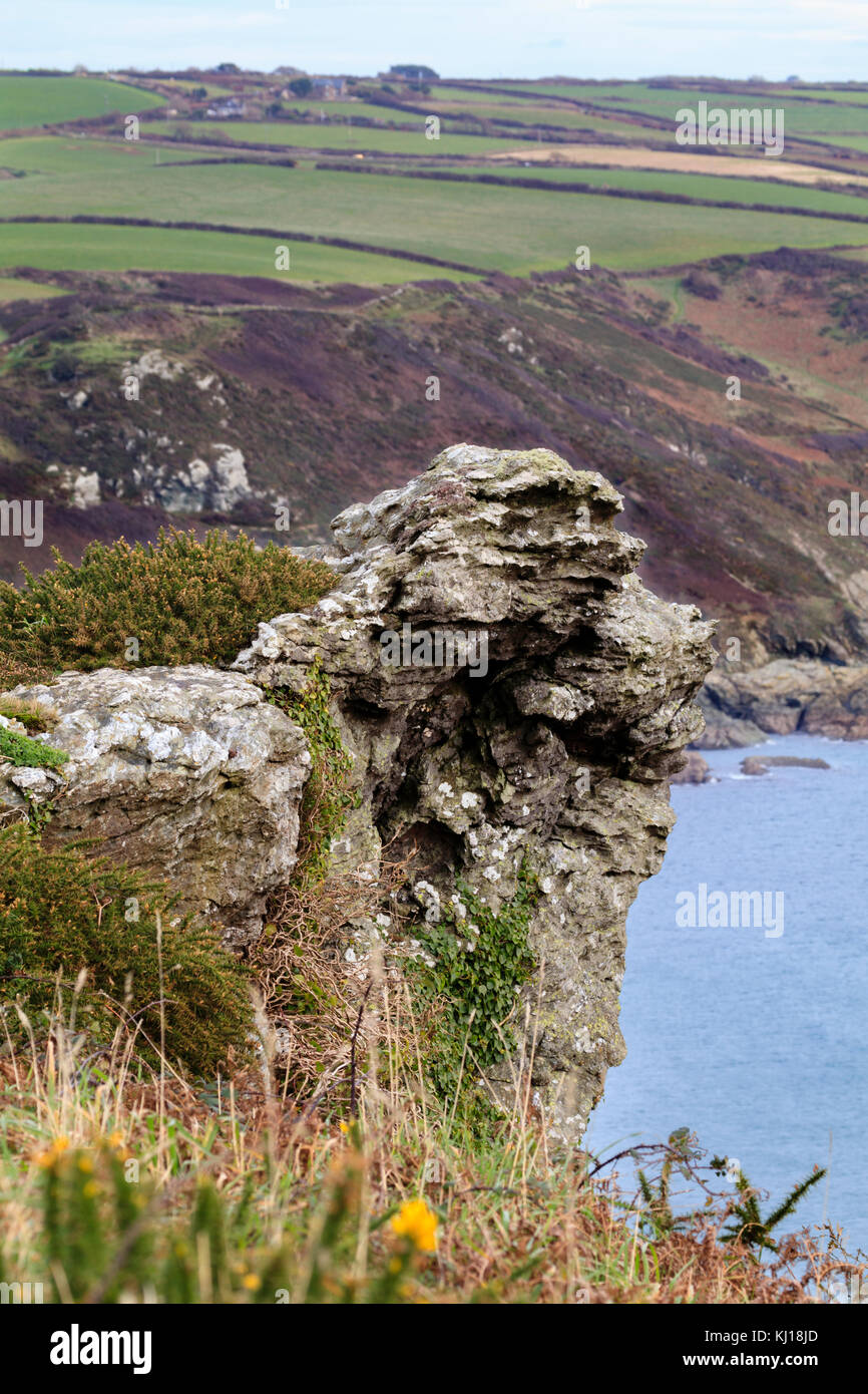 Devoniano inferiore mica scisto sperone di roccia in scogliere frastagliate di Sharp Tor, sopra, Salcombe Regno Unito. Oriente Prawle in background. Foto Stock
