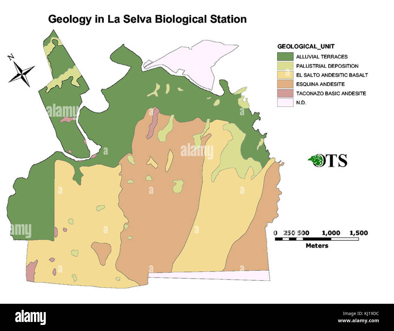 Geologia a La Selva Stazione Biologica, Costa Rica Foto Stock