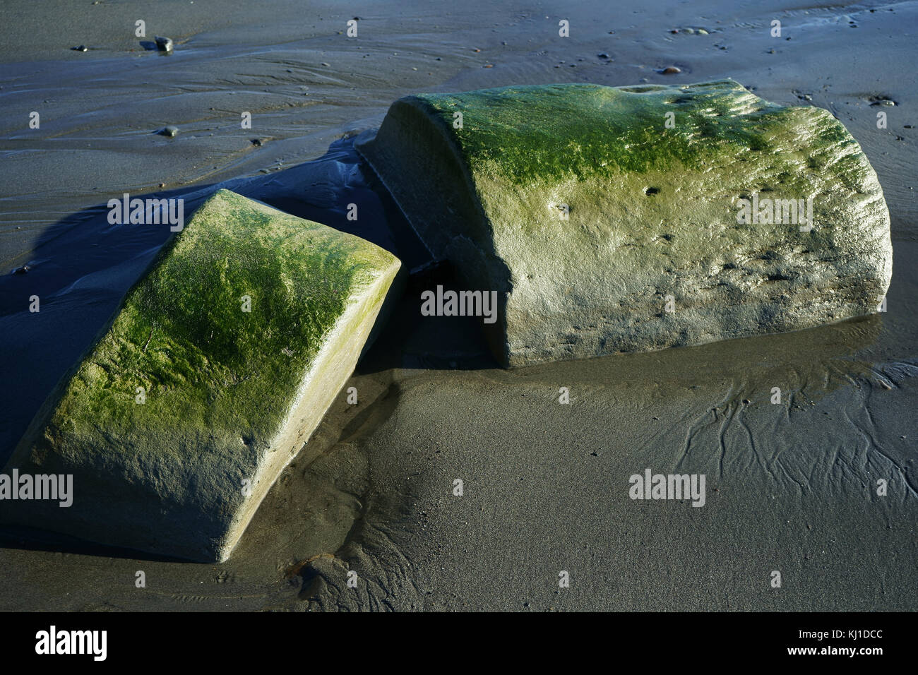 Split rotonda allungata boulder sulla marea la spiaggia di sabbia del Cook Inlet, Penisola di Kenai, Alaska Foto Stock