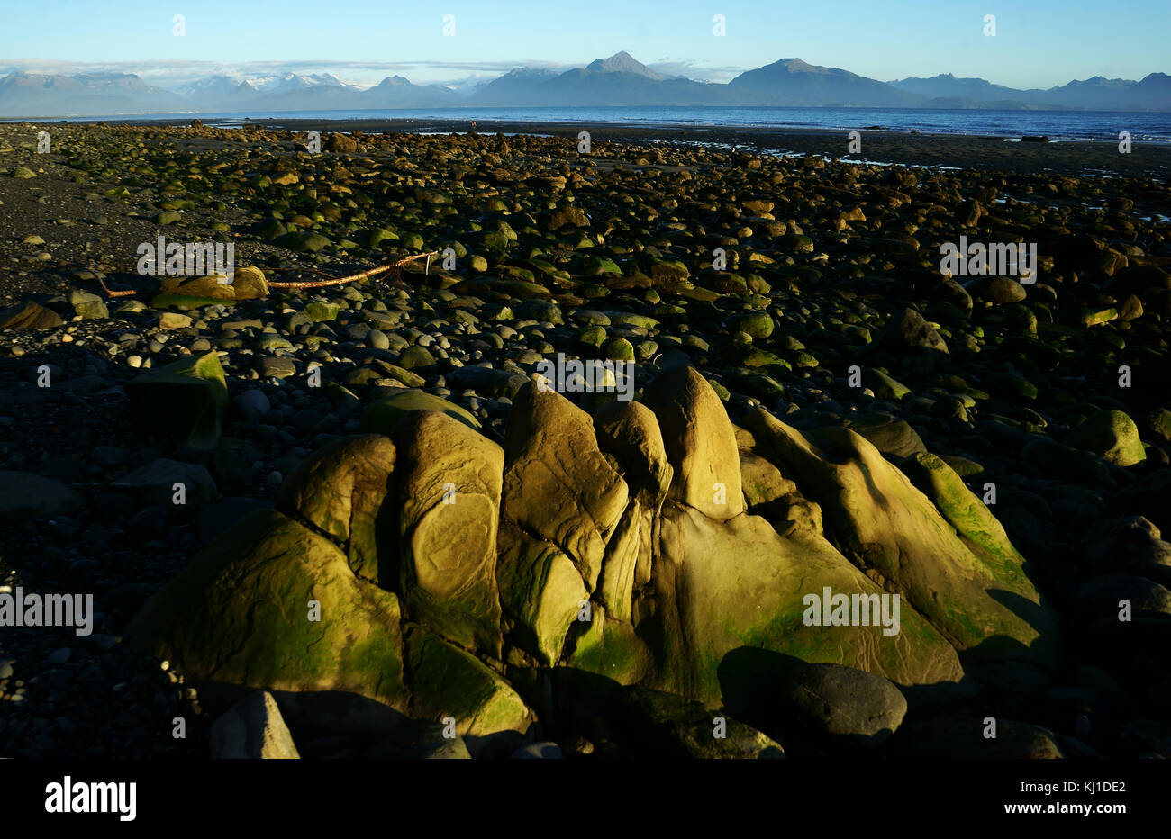 Roccia erosa pietra boulderon beaach coperto con la bassa marea, Kachemak Bay, Penisola di Kenai, Omero, Alaska Foto Stock